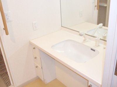 Washroom. Shampoo dresser