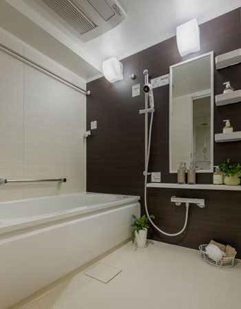 Bathing-wash room. Bathroom