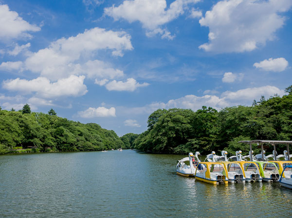 Surrounding environment. Inokashira Park (7 min walk ・ About 540m)