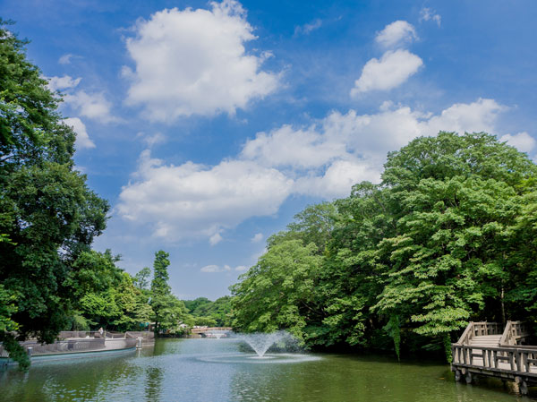 Surrounding environment. Inokashira Park
