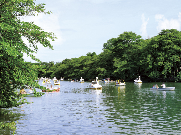 Surrounding environment. Inokashira Park (a 10-minute walk / About 800m)