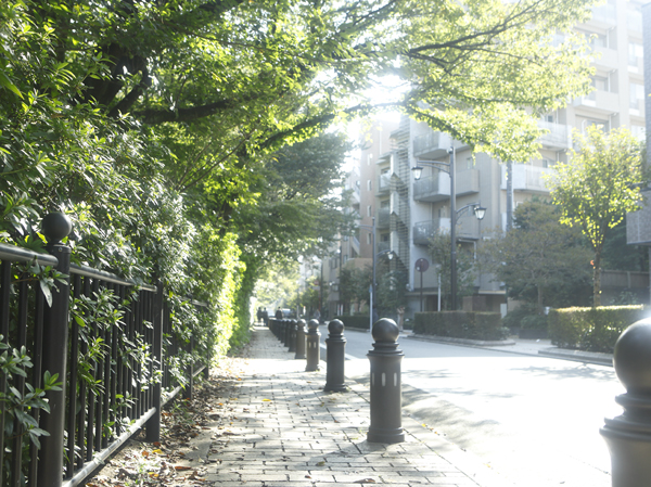 Surrounding environment. Wind promenade (a 9-minute walk / About 650m)