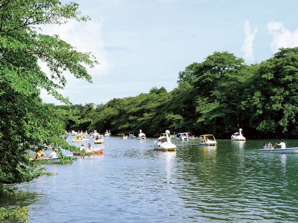 Spring cherry tree in full bloom, Summer is dark green, Fall foliage ....... The park, which was colored by nature of the four seasons, Fun-filled, such as ponds and natural cultural garden put a boat. Play one day in the family "Inokashira Park" (a 10-minute walk / About 800m)
