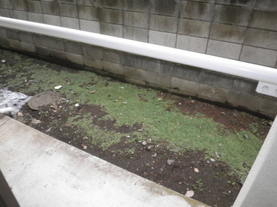 Garden. It is a terrace and garden