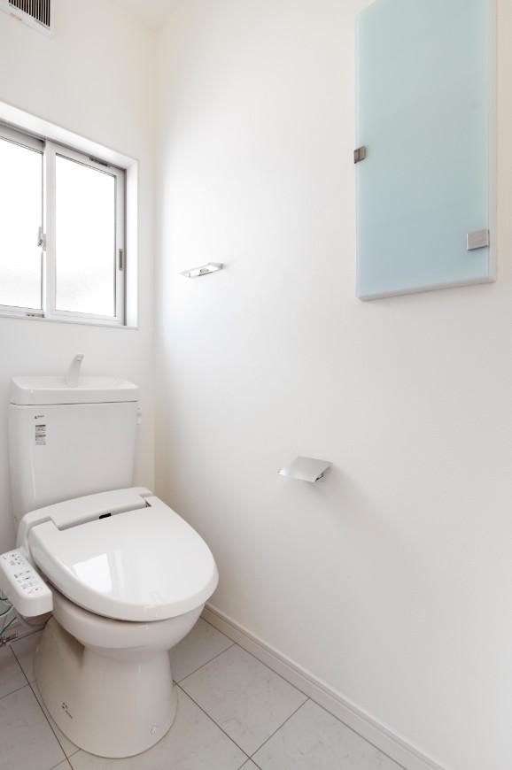 Toilet. Easy to clean because there is no "border".