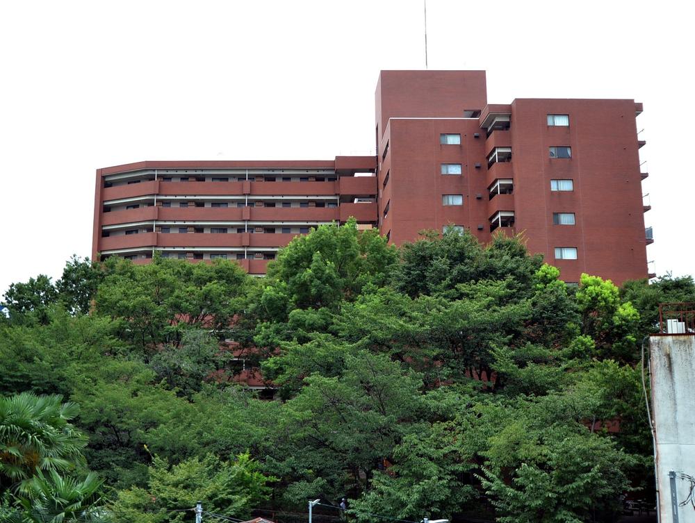 Local appearance photo. Local (August 2013) Shooting