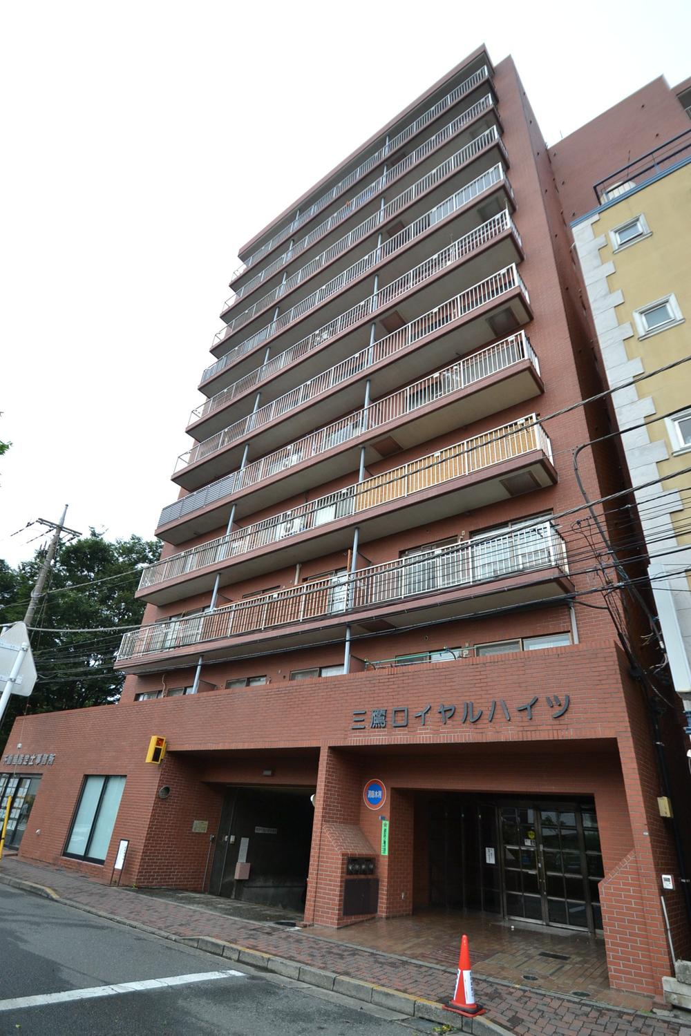 Local appearance photo. Local (August 2013) Shooting