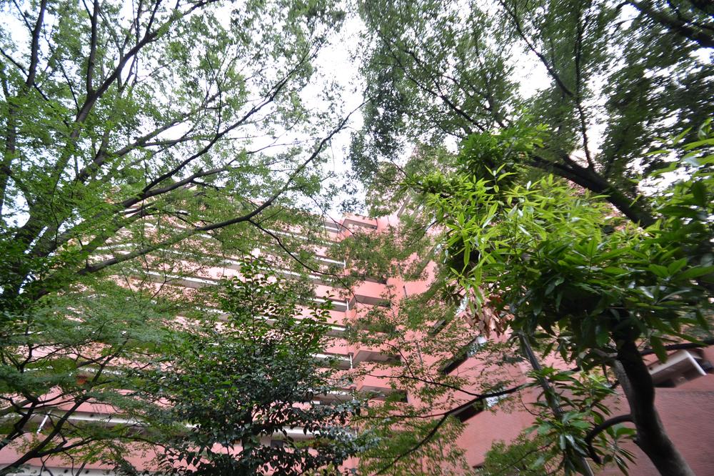 Local appearance photo. Local (August 2013) Shooting View from the adjacent land Tamagawa