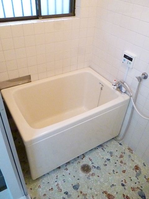 Bath. It is a bathroom with windows.