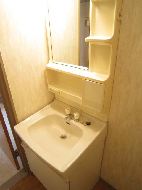 Washroom. Bathroom vanity