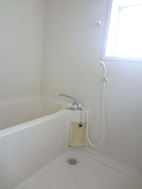 Bath. Bright bath with daylight