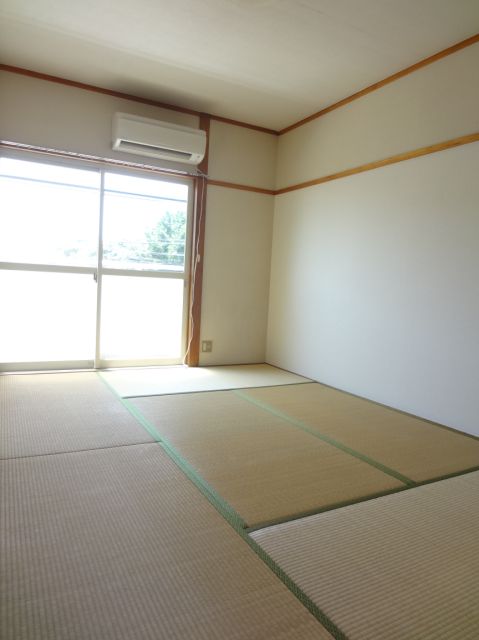 Living and room. Sunny