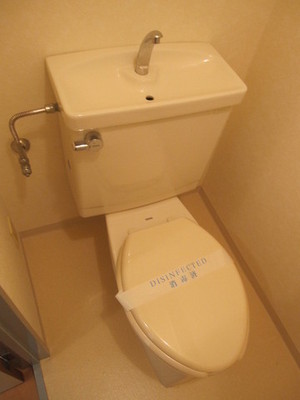 Toilet. Clean toilet