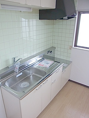 Kitchen. Two-burner gas stove installation Allowed Kitchen