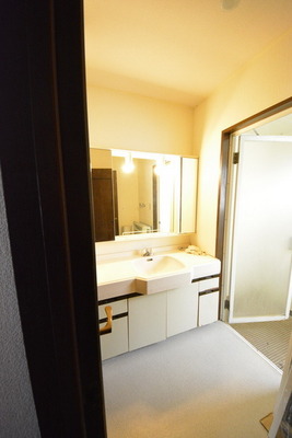 Washroom. Wash basin