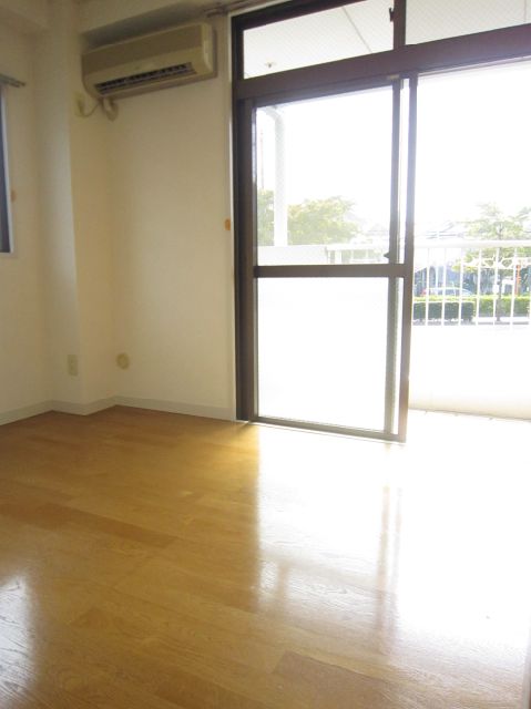 Living and room. Two-sided lighting Western-style.