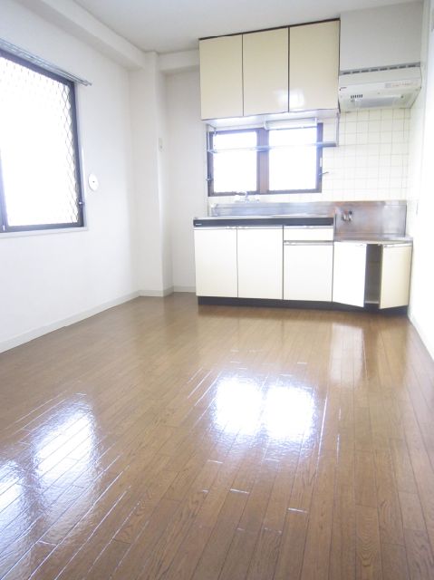 Kitchen. Two-sided lighting kitchen.