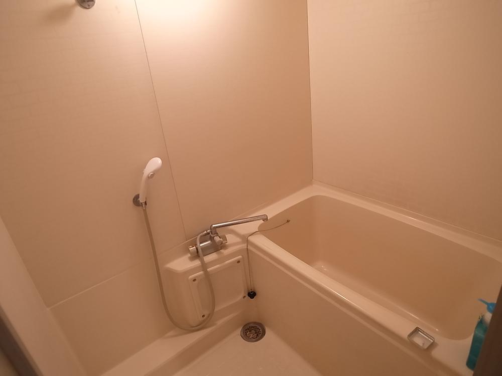 Bathroom. Indoor (10 May 2013) Shooting