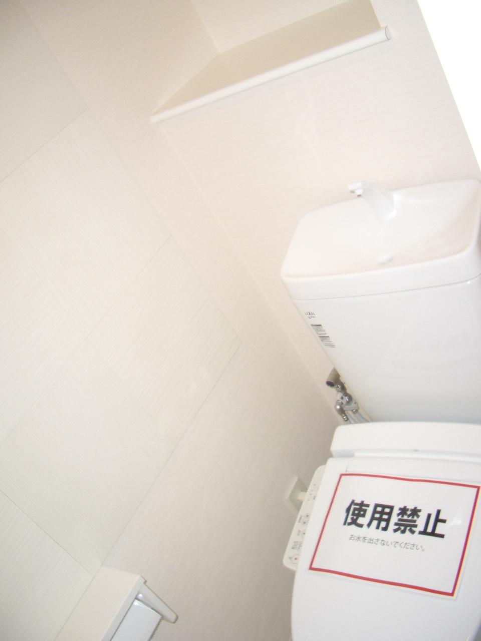 Toilet. Toilet with cleanliness