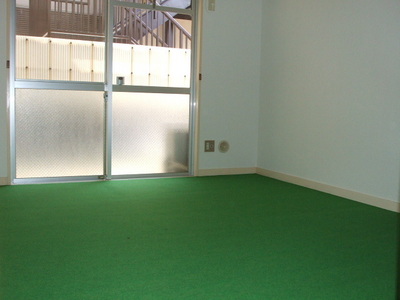 Living and room. The color of the carpet is if different