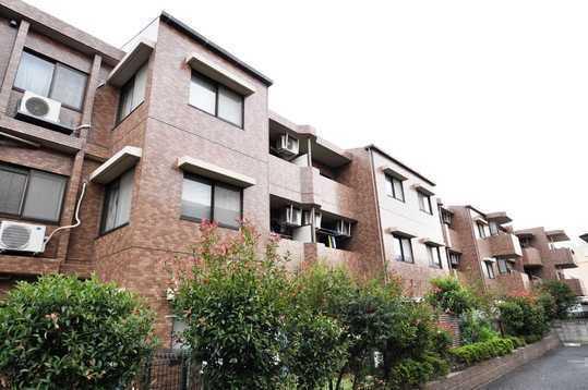 Local appearance photo. Appearance (2013 October shooting)