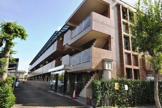 Local appearance photo. Appearance (2013 October shooting)