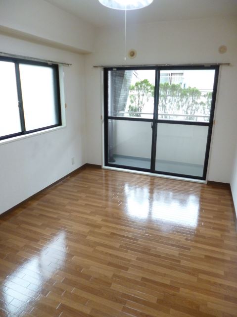 Living and room. Two-sided lighting