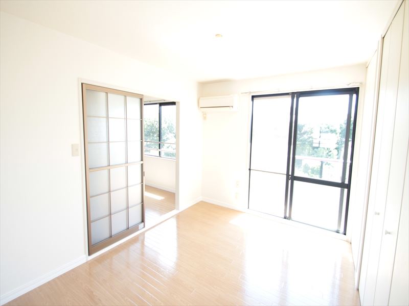 Living and room. Bright south of Western-style