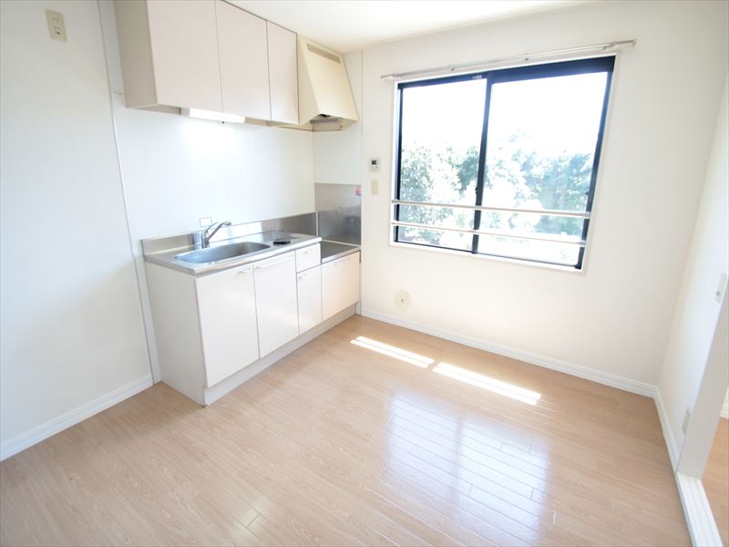 Kitchen. Kitchen space