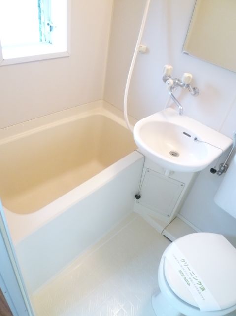 Bath. The unit bus there is a window