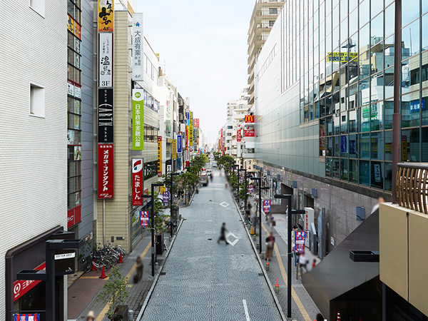 Surrounding environment. Central Street (about 400m / A 5-minute walk)