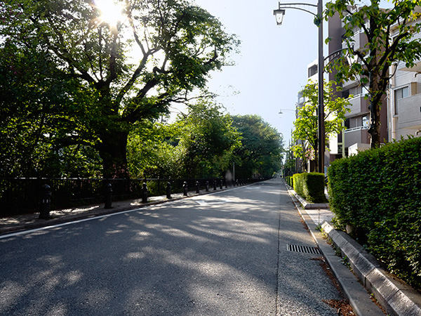 Surrounding environment. Wind of walking (about 550m / 7-minute walk)