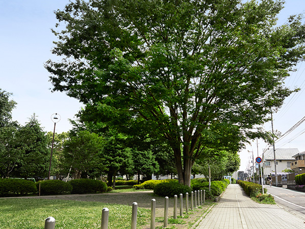 Surrounding environment. Waxwing Central Park (about 940m / A 12-minute walk)