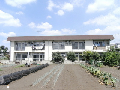 Building appearance. Sunny