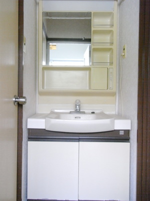 Washroom. Independent wash basin