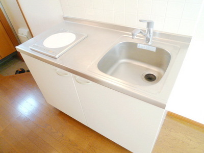 Kitchen. IH1-burner stove with kitchen