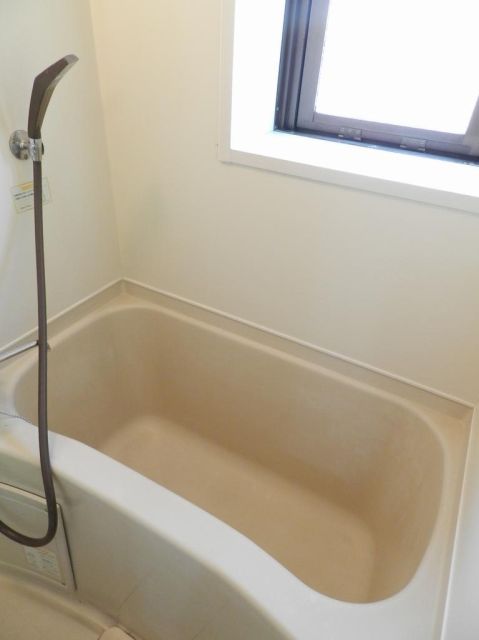 Bath. Bright bath with daylight