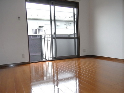 Living and room. Clean room