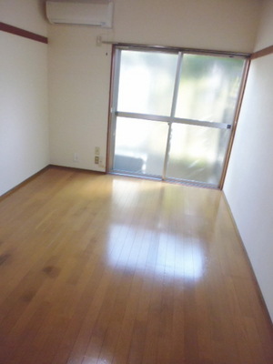 Living and room. Sunny