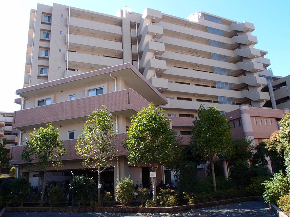 Local appearance photo. Local (10 May 2012) shooting