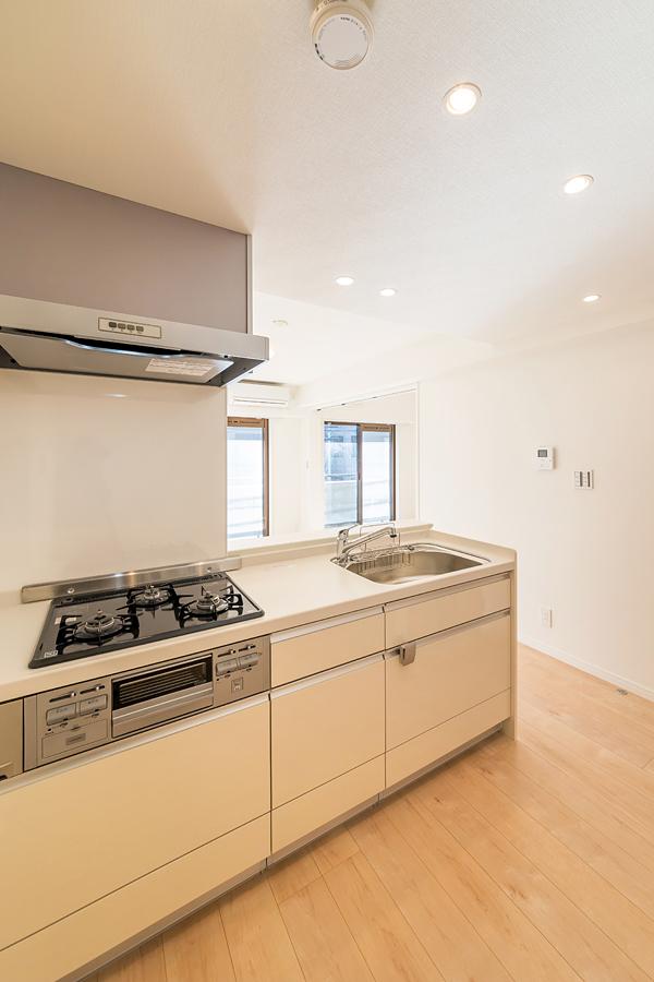 Kitchen. LIXIL party systems Kitchen It is housed convenient drawer type.