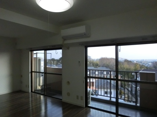 Living and room. Living