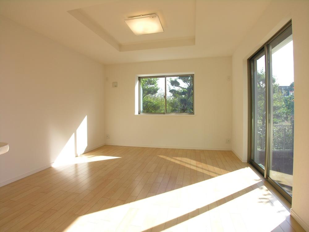 Living. Indoor (11 May 2013) Shooting