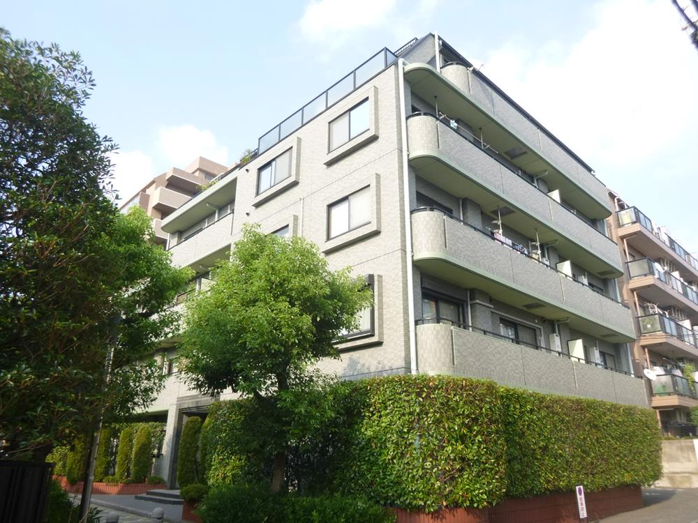 Local appearance photo. Local (August 2013) Shooting