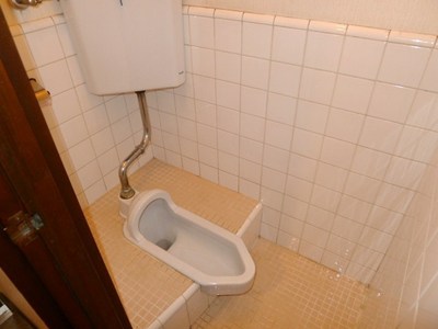 Living and room. Toilet