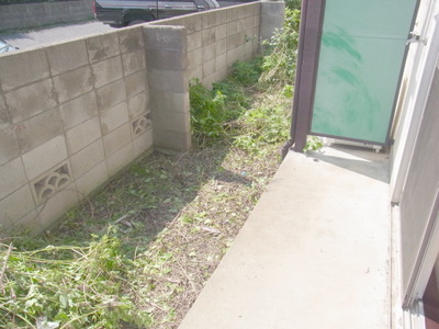 View. Private terrace