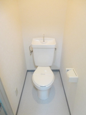 Toilet. Toilet