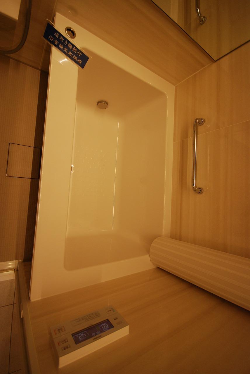 Bathroom. Indoor (12 May 2013) Shooting