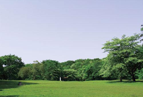 Other. With a vast area of about 39ha a distance of about 7 minutes bike to the "Metropolitan Nogawa park". Or from playing freely To the children, The hotel's barbecue Square (Free ・ Weekend leisure of the reservation), the family and friends can enjoy casually.