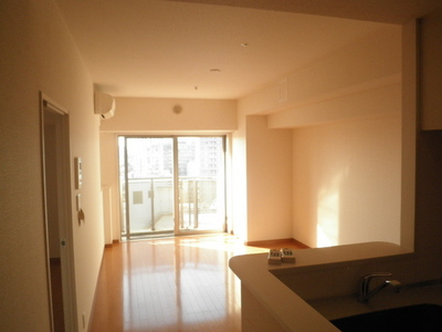 Living and room. Living room 3